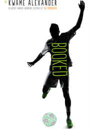 Screen Shot 2016-04-30 at 11.57.56 AM