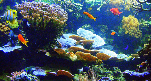 screen-shot-2016-10-21-at-1-22-57-pm