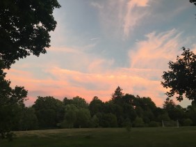 Processed with Snapseed.