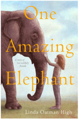 Screen Shot 2017-08-24 at 6.02.54 PM