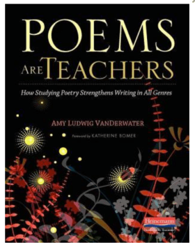 Screen Shot 2017-11-11 at 8.00.01 AM