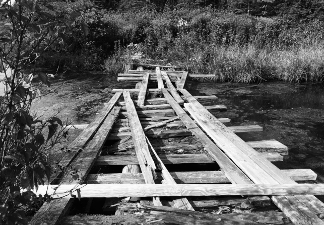 Screen Shot 2019-02-24 at 9.08.10 AM.png