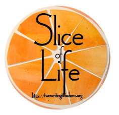 Screen Shot 2019-03-02 at 5.28.56 PM