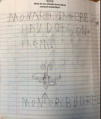 Screen Shot 2019-10-26 at 7.36.35 AM